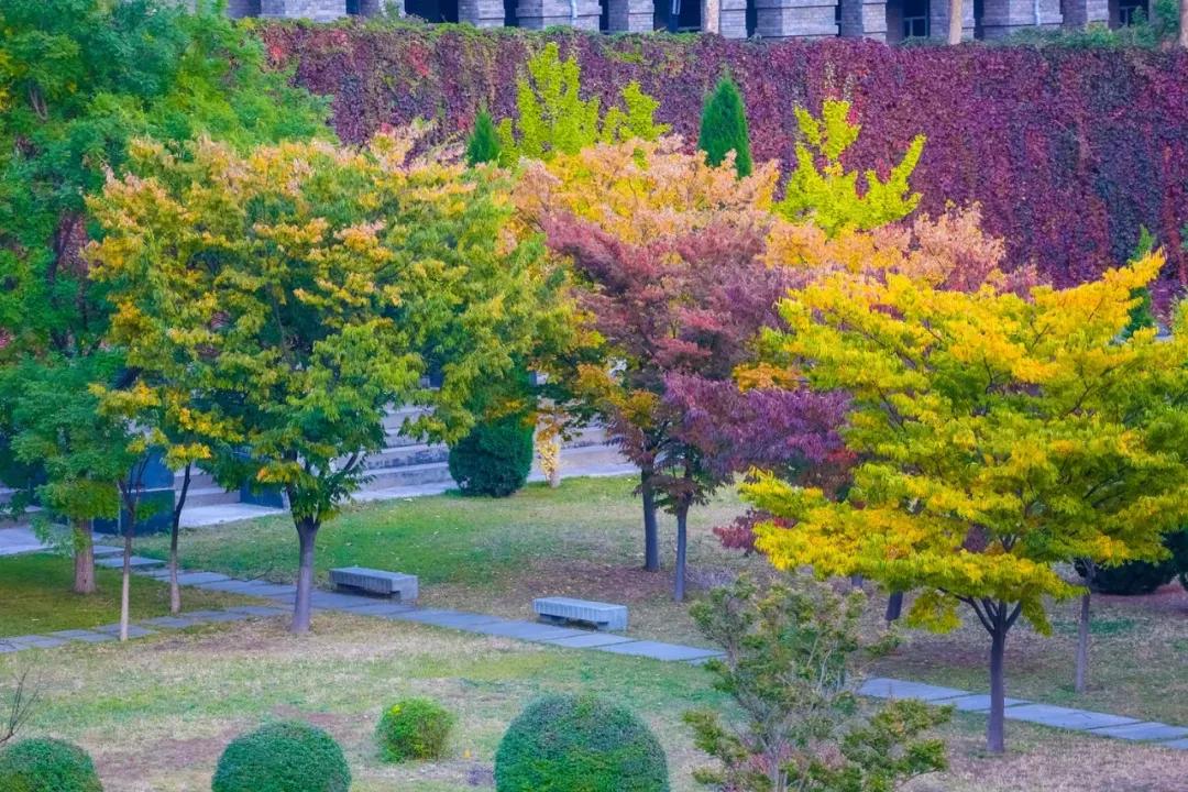 辽宁大连民办大学,大连辽宁二本大学