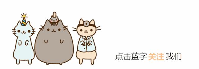 哺乳期的猫咪能不能驱虫,哺乳期的狗狗可以驱虫吗