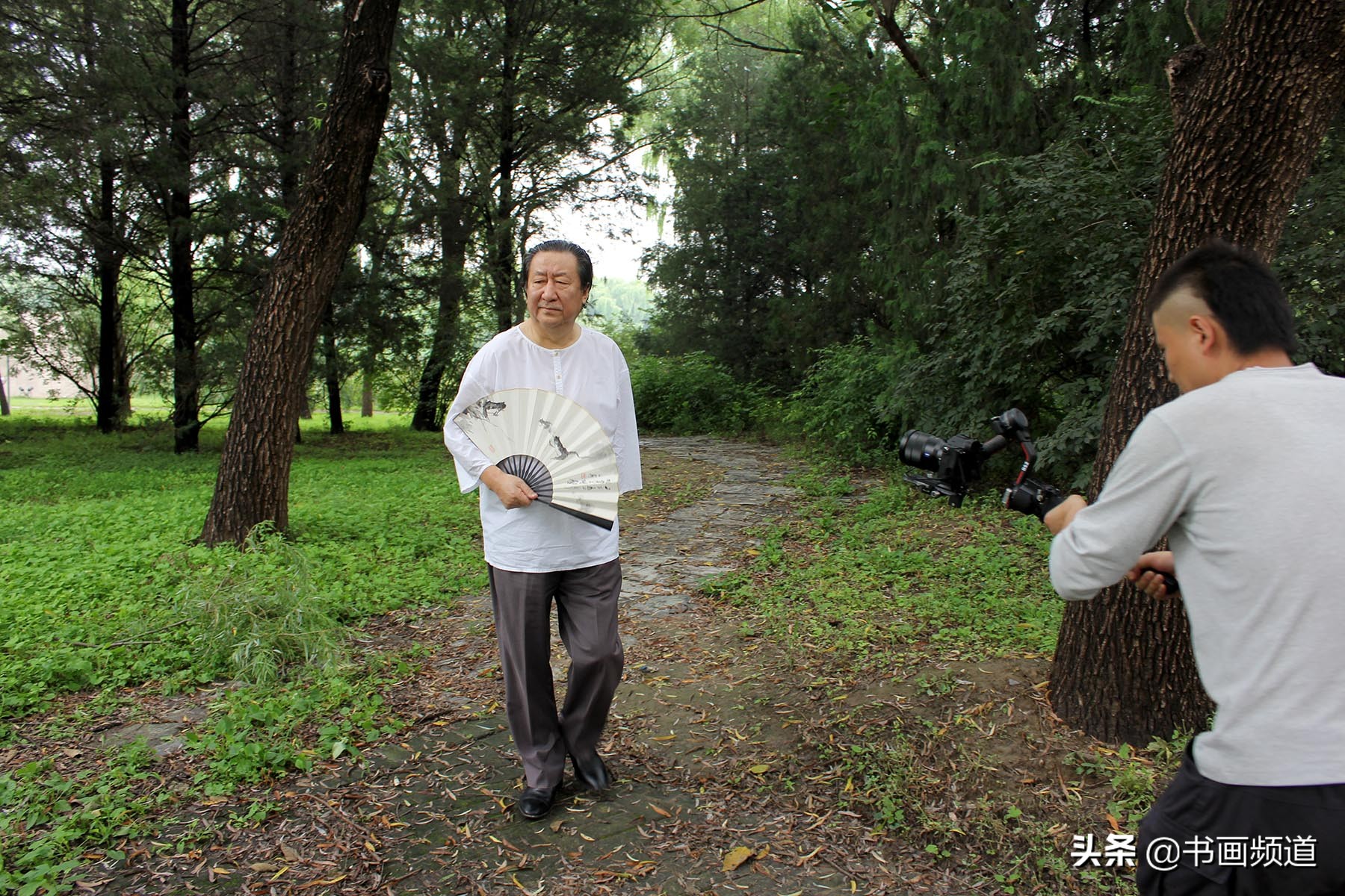 杨晓阳写意作品,杨晓阳从写实到写意