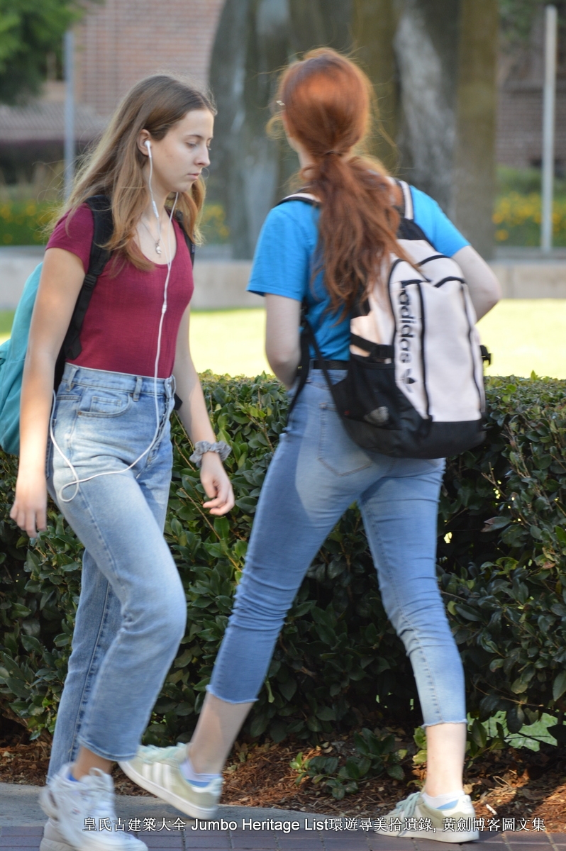 第1852回：欧洲象征主义先驱，前拉斐尔派罗塞蒂