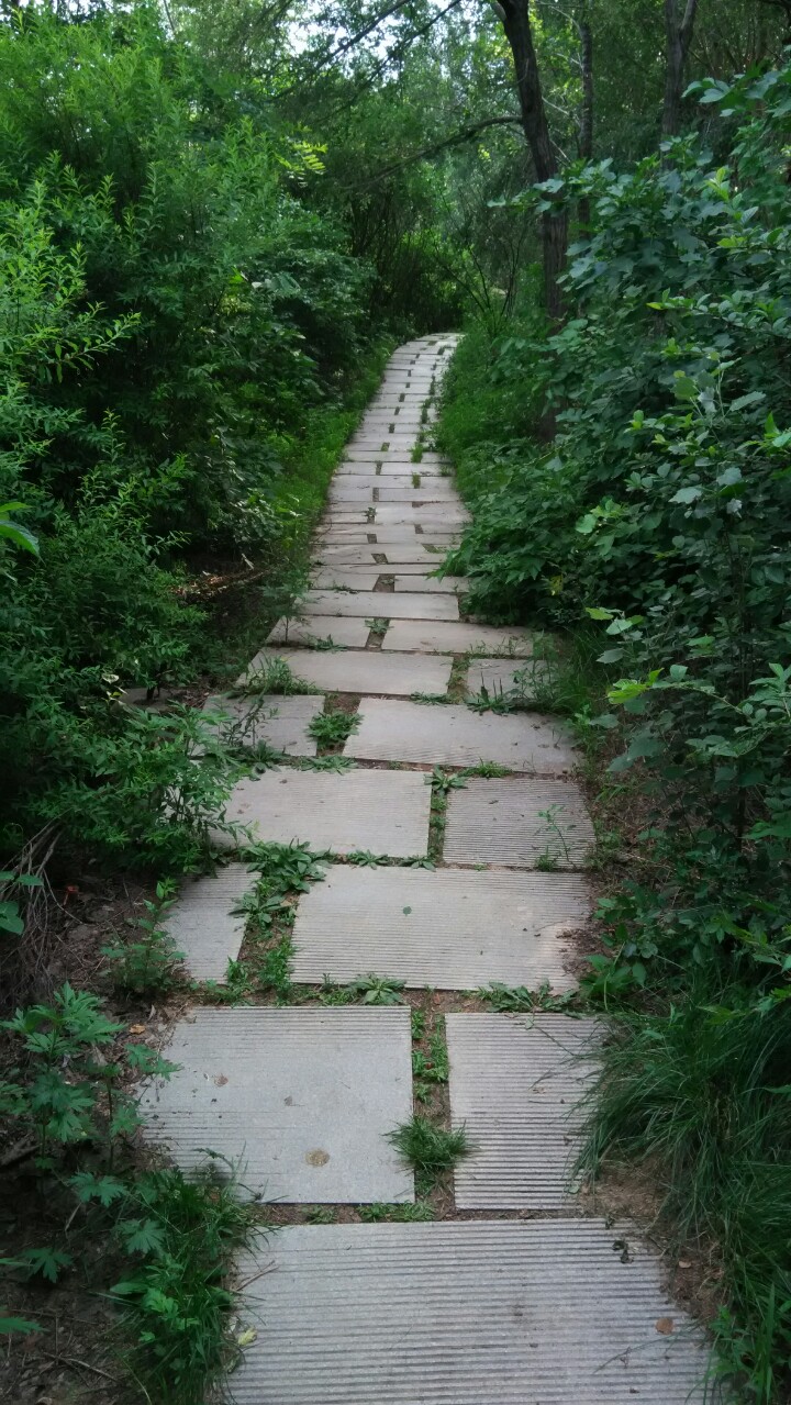 用好“小管家”，向龟速启动说不，让你的CAD飞起来｜AutoCAD加速