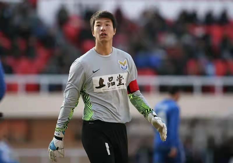 豪情燃烧的岁月87,荷兰足球2010世界杯黄金一代