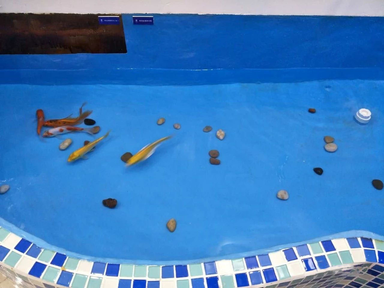 鱼塘底部怎么做防水用什么材料,鱼塘防水施工步骤教程