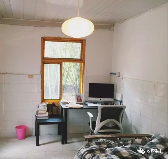 总共花了不到700元改造的废弃小院,花4万改造房子