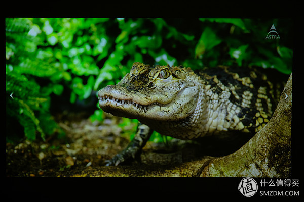 微鲸投影仪k1和e2plus的区别,微鲸投影仪k1和k1plus区别