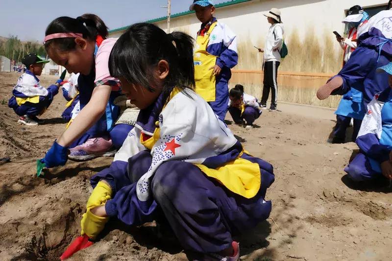 【益西户外营地教育】金川第六小学野狐湾自然研学营圆满结束！