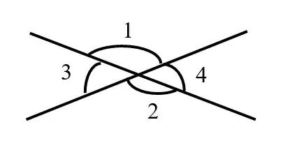 四年级上册数学101和102答案,四年级上册数学应用题大全100题