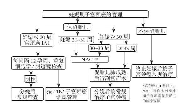 妊娠“撞上”宫颈癌该终止还是继续妊娠？