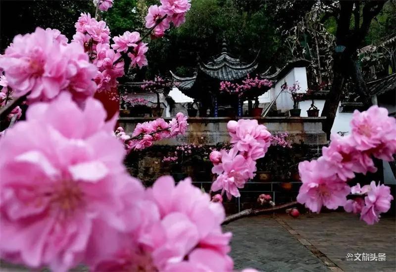 瞧！这花花世界谁不爱