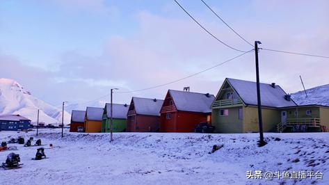 斗鱼开启直播回放,斗鱼直播户外深夜探险