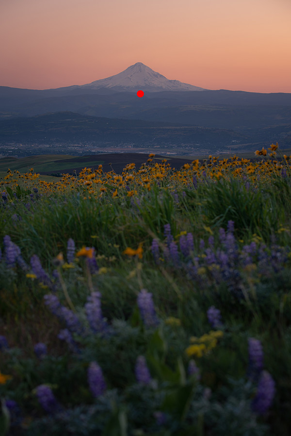 摄影ps景深合成的方法,ps景深合成焦点堆叠