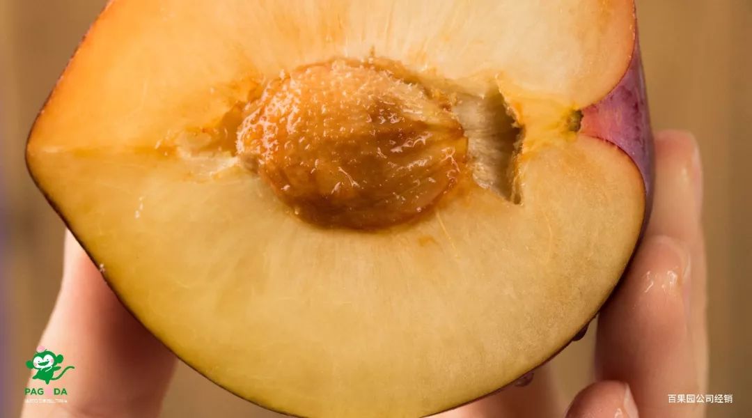 鍙堝ぇ鍙堢敎鐨勬亹榫欒泲鏉庡瓙,鎭愰緳铔嬫潕鍙ｆ劅