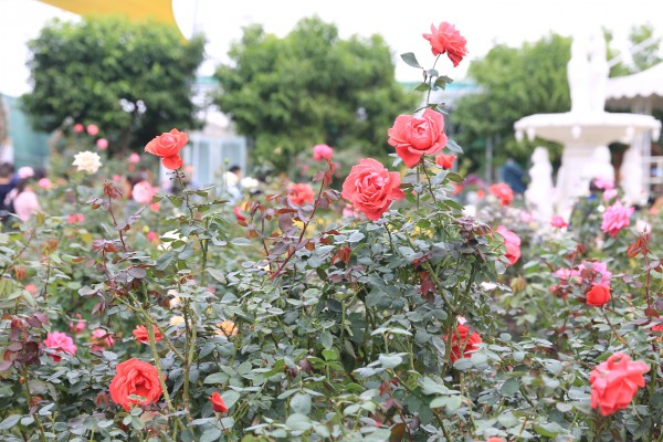 森林花海亲子游攻略,森林公园亲子游推荐