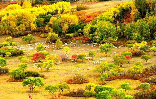 坝上三大景点,坝上草原是丰宁还是围场的