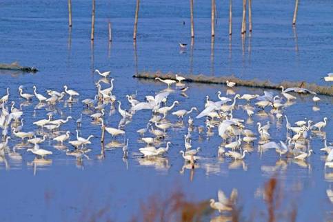 不出郑州旅游攻略,郑州五一游玩公园推荐