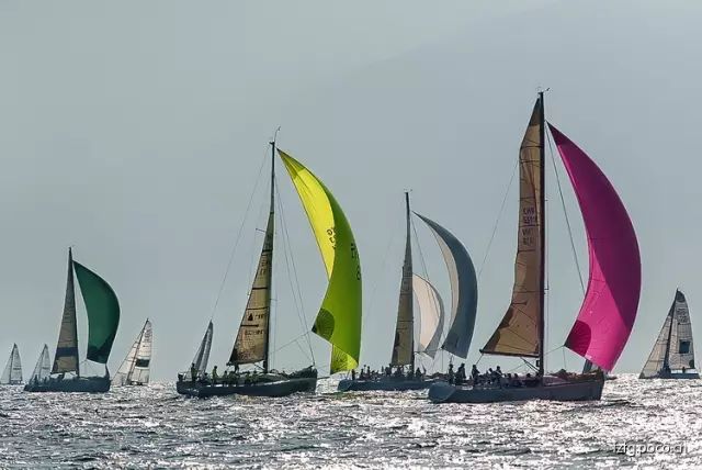 中国人对族谱执念,中国人对于进族谱的执念