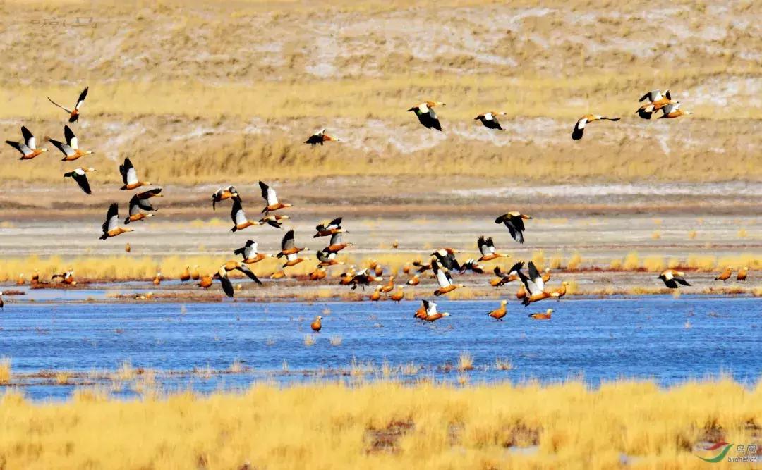 深挖！青海西北角的一个小城，比青海湖更美，游人尚未涉足