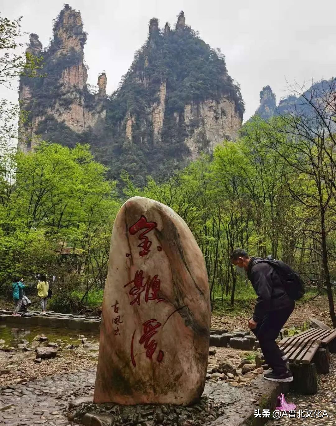 河曲赵云生｜神游张家界