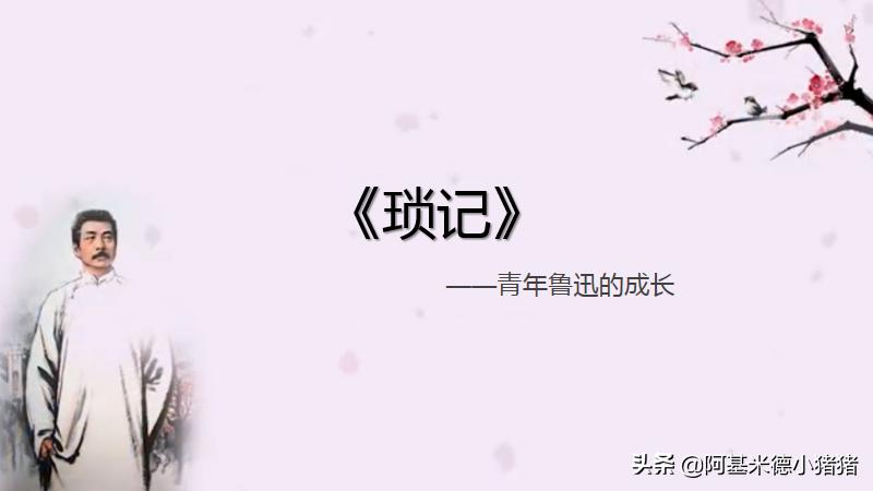 朝花夕拾名著导读琐记笔记,朝花夕拾名著导读精彩选篇笔记
