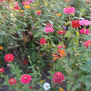 家长对孩子作文的鼓励评语,作文写作对孩子的帮助