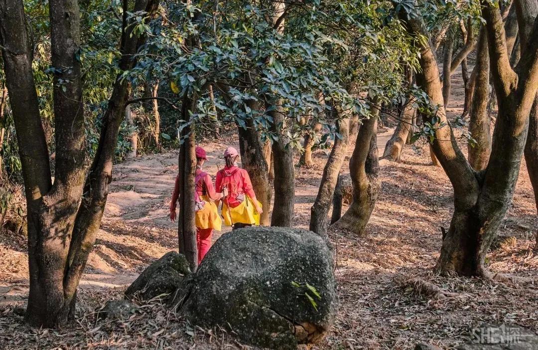 4号线值得逛的地方,9号线有什么地方可以玩