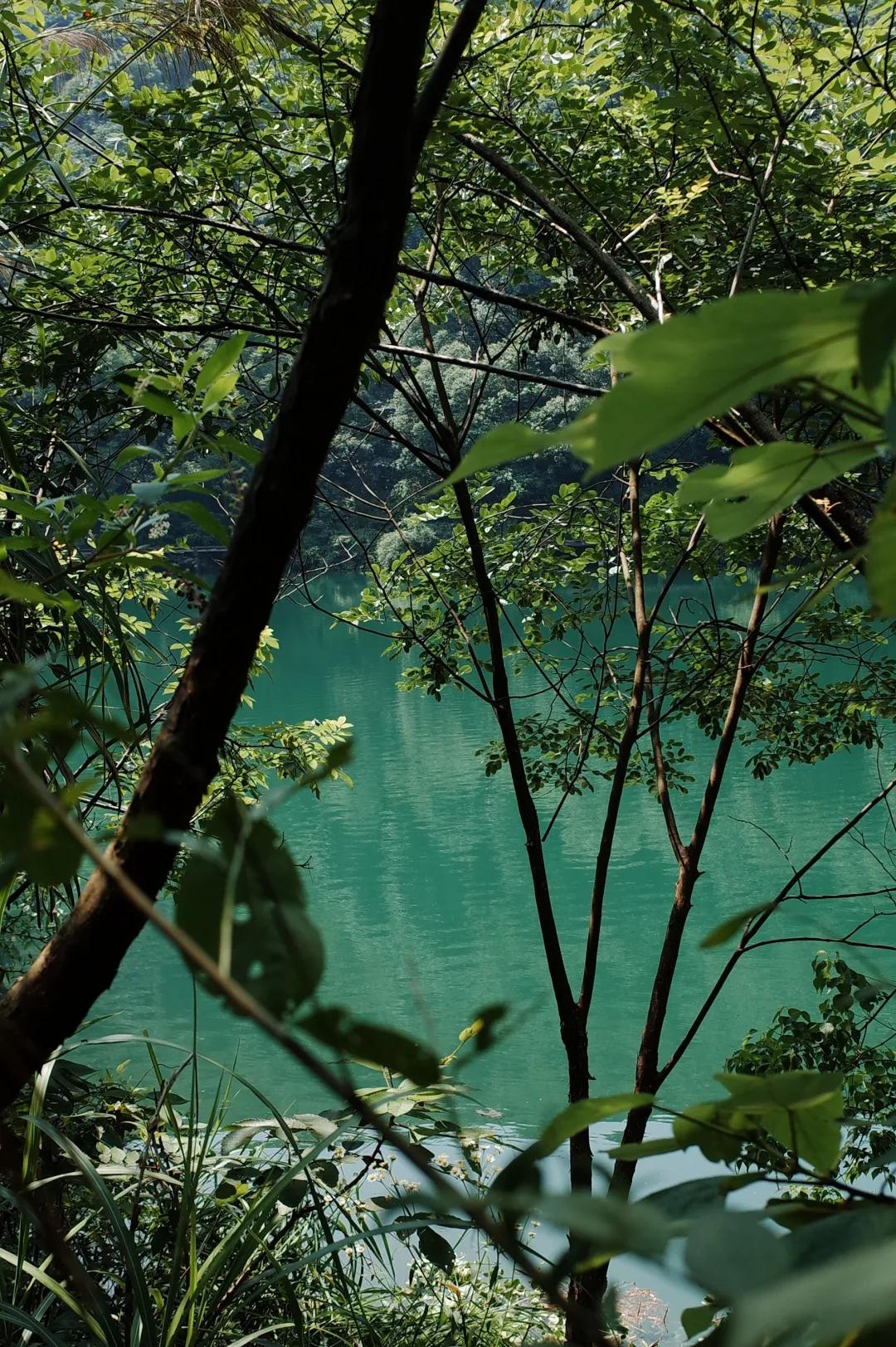 杭州西湖人少景美的地方,杭州人少景美免费景点