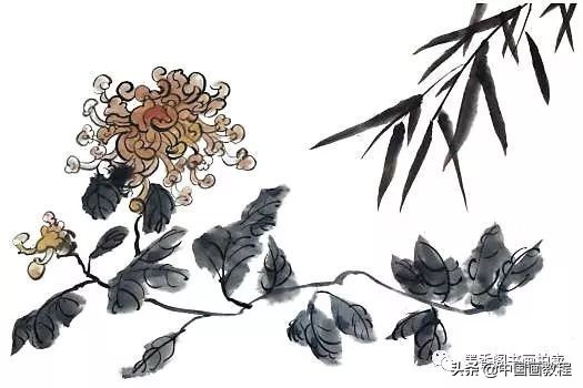 菊花花头花苞画法,菊花花头的画法步骤图片