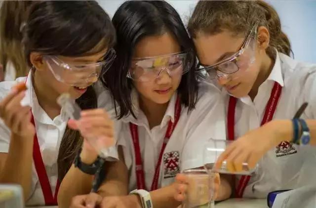 上海宝山区小学排名一览表2020,2021上海奉贤区重点小学排名一览