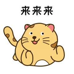 珠海一日游免费攻略,珠海10块免费一日游