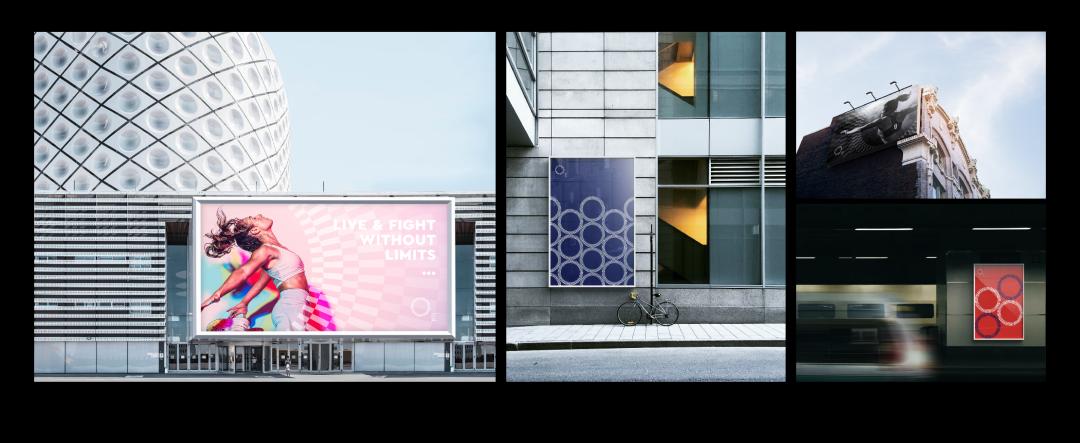 成都凤凰山体育公园设计讲解,凤凰山体育馆logo设计