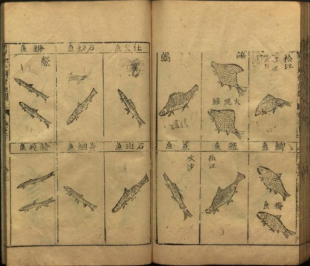 李时珍本草纲目书目录,李时珍本草纲目下卷