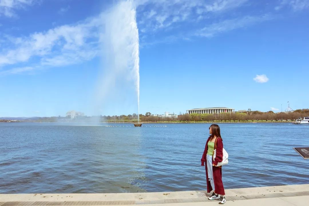 澳洲｜春意堪培拉，看袋鼠、品酒、赏花、住进动物的家