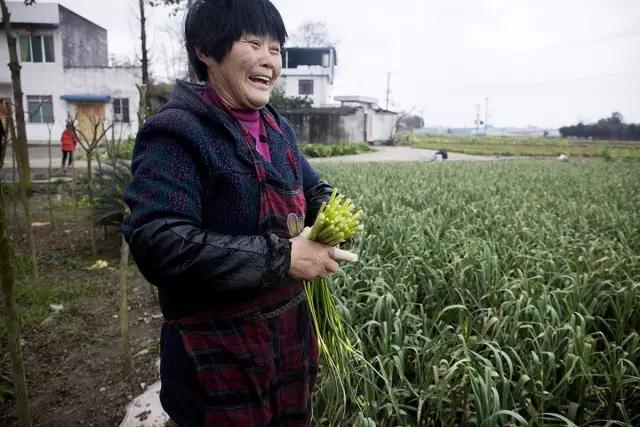 鍐滄潙钂滆柟鐐掕倝,鍐滃钂滆柟鐐掕倝