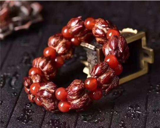 和菠萝类似的盆景,果实可以食用的盆景