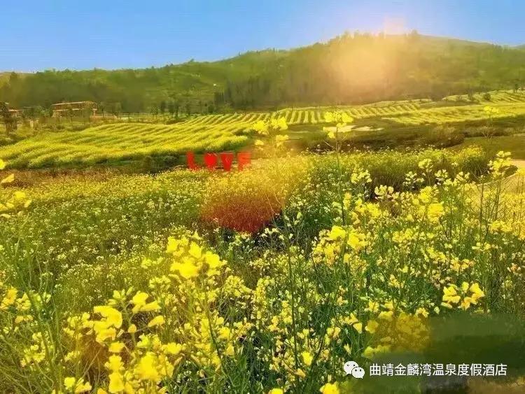 曲靖金麟湾温泉度假酒店怎么样,曲靖金麟湾温泉酒店怎么样