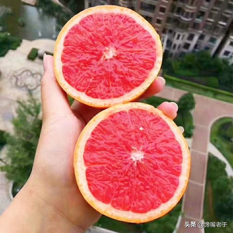 满满的维c是秋季最佳的水果,秋冬干燥建议多食应季水果