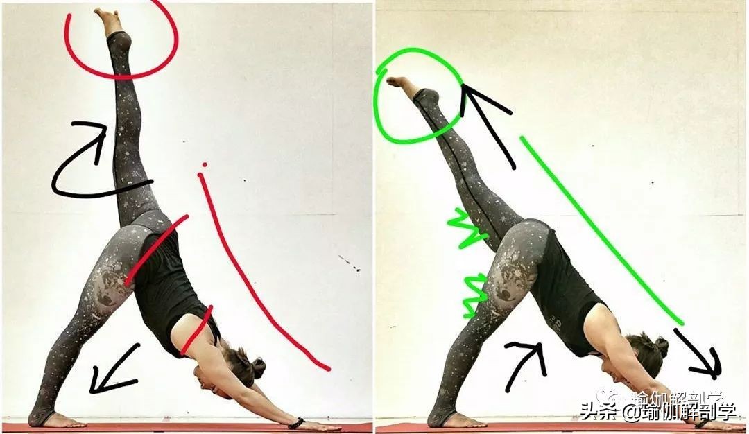 10个最新瑜伽体式正误对比图,瑜伽最容易错的正误对比图