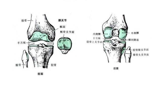 疫情之后报复性出门,疫情过后报复性旅游的危害