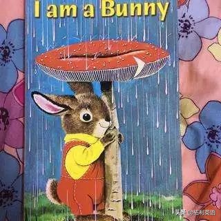 最受欢迎的100本绘本图文,最受欢迎童书6-10岁排行榜