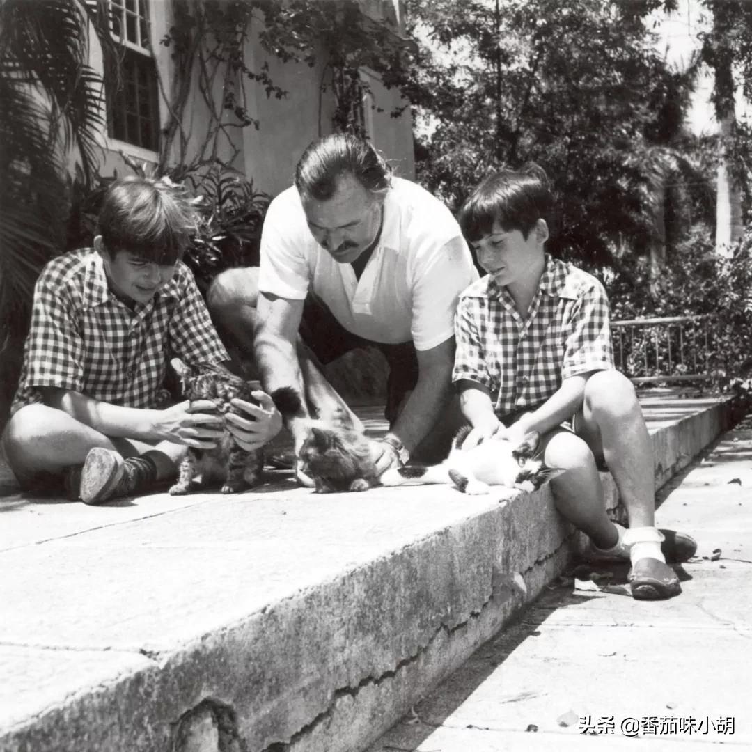 海明威一生风流，4任妻子，无数情人，好友：不如此，写不出巨作