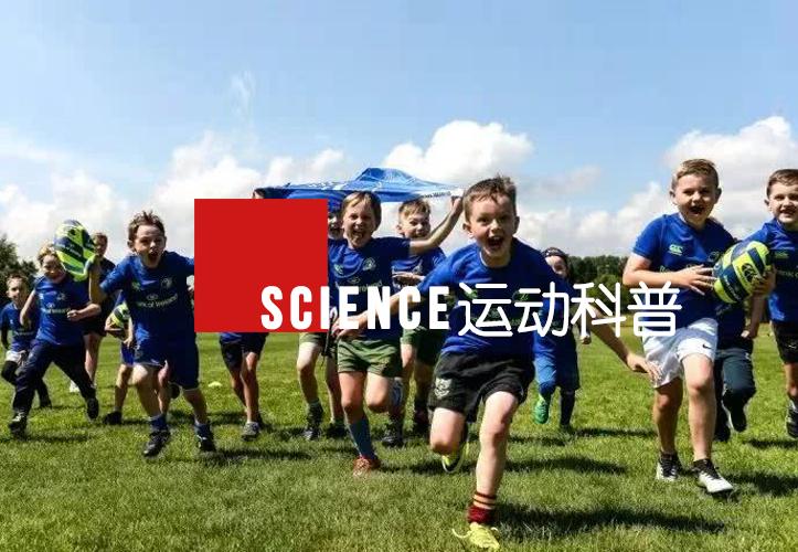 英式橄榄球地表最强,英式橄榄球健将