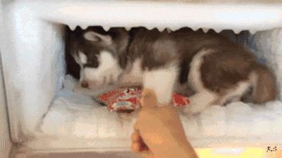 潜水池是夏季避暑的好地方,夏天去潜水馆避暑