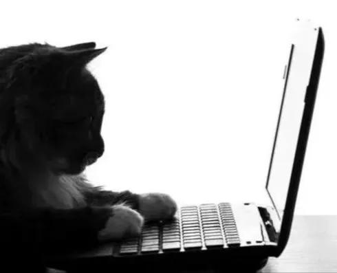 qq被冻结了这个号是不是没用,为什么一觉醒来发现qq被冻结了