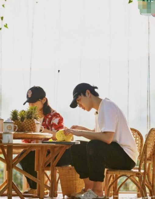 向往的生活四张子枫摘泰椒,向往的生活第四季张子枫摘菠萝