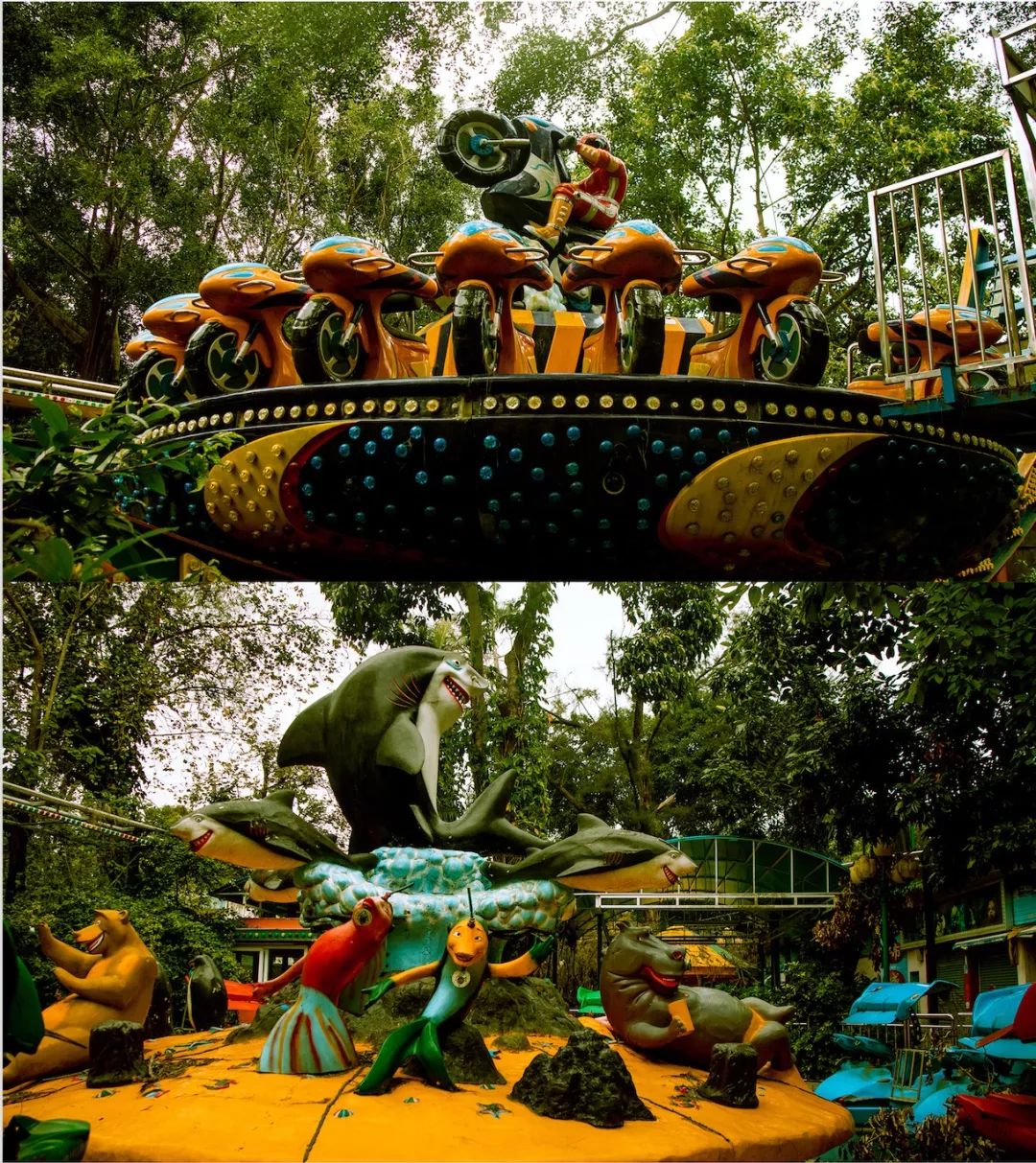 深圳东湖公园游乐场以前样子,深圳藏在森林里游乐园