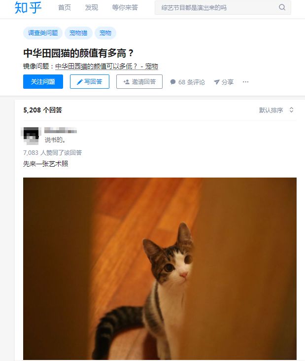 十块钱就能买一只狸花猫是真的吗,几十元的狸花猫能养吗