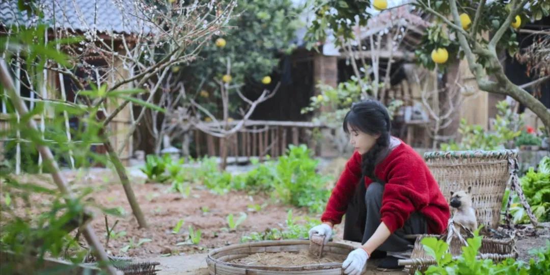 番茄锅酸甜番茄,超浓郁的番茄火锅吃一次就爱上了