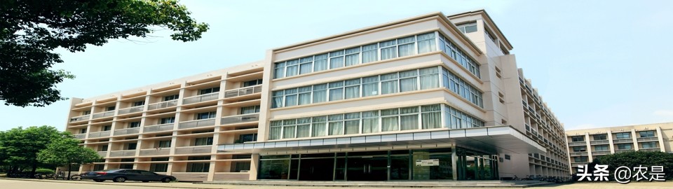 鍗庝腑鍐滀笟澶у缃楁櫤,缃楁櫤鍗庝腑鍐滀笟澶у