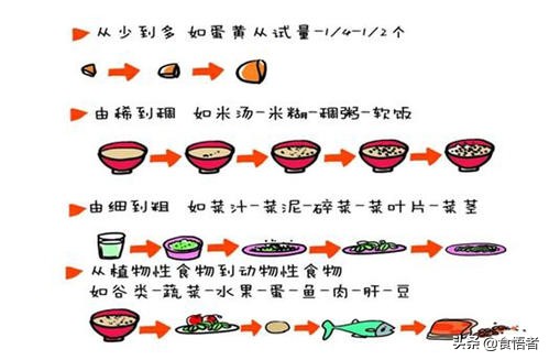 4-5个月宝宝添加辅食的正确方法,6-24个月婴儿辅食添加建议收藏