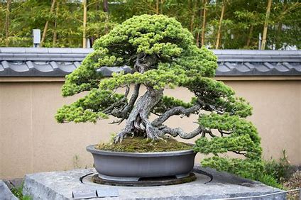 散文|汗漫：两个诗人